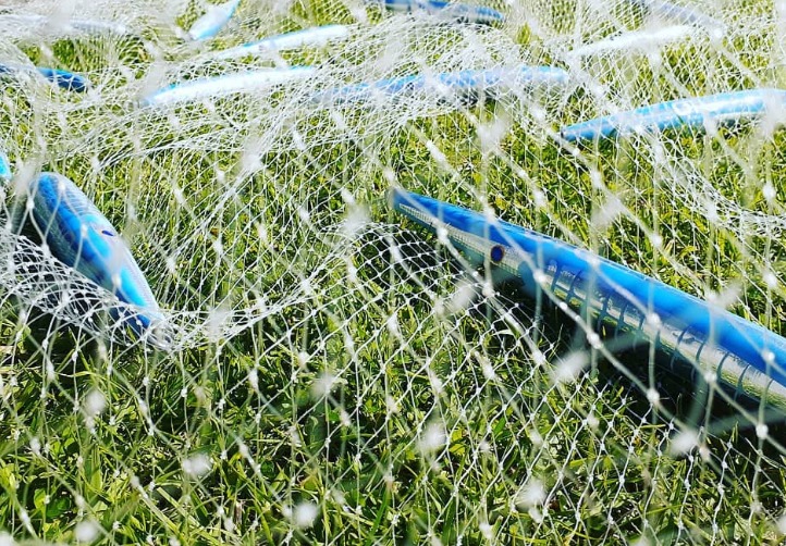 Web capture_11-8-2023_12275_www.instagram.com