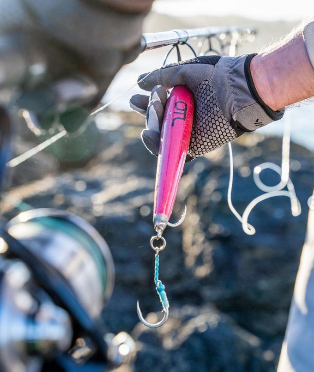 Web capture_11-8-2023_114146_www.instagram.com